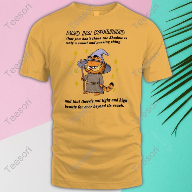 Bro I'm Worried That You Don't Think The Shadow Is Only A Small And Passing Thing Tee Shirts Bro I'm Worried That You Don't Think The Shadow Is Only A Small And Passing Thing Tee Shirts